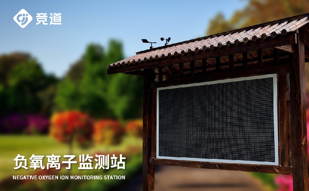 大氣負(fù)離子監(jiān)測(cè)系統(tǒng)